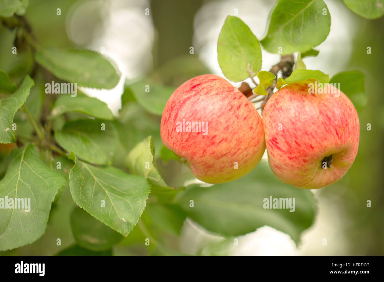 2 objects hi-res stock photography and images - Alamy