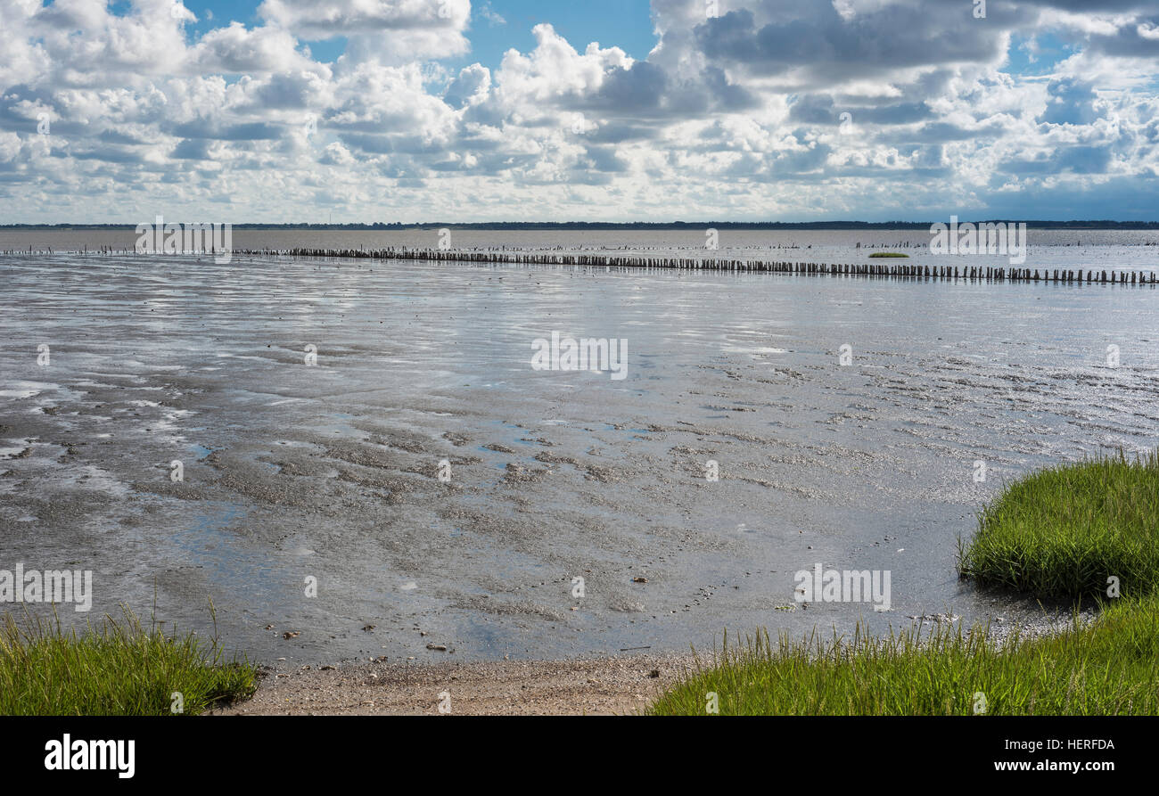 Low tide, Rømø, Wadden Sea National Parks, Jutland, North Sea, Southern Denmark, Denmark Stock Photo