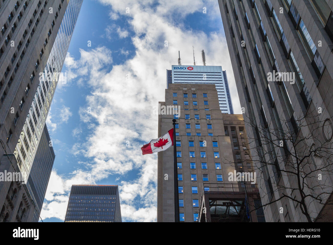 Bank of Montreal (BMO) main building in Toronto, Ontario, Canada Stock Photo