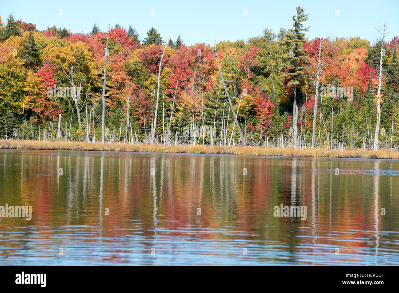 Floodwood passage hires stock photography and images Alamy