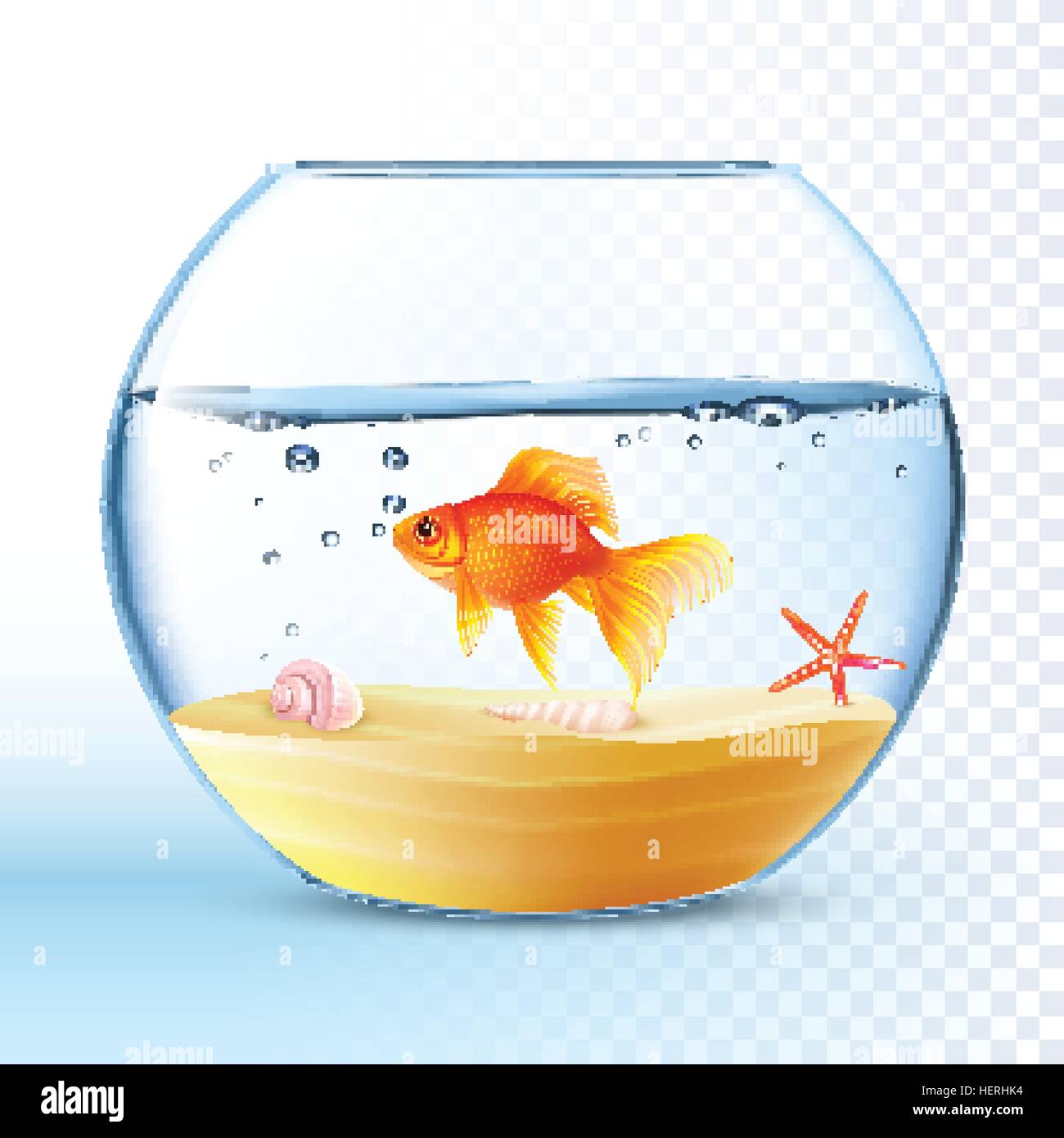 Funny Goldfish Fishing in a Fish Bowl