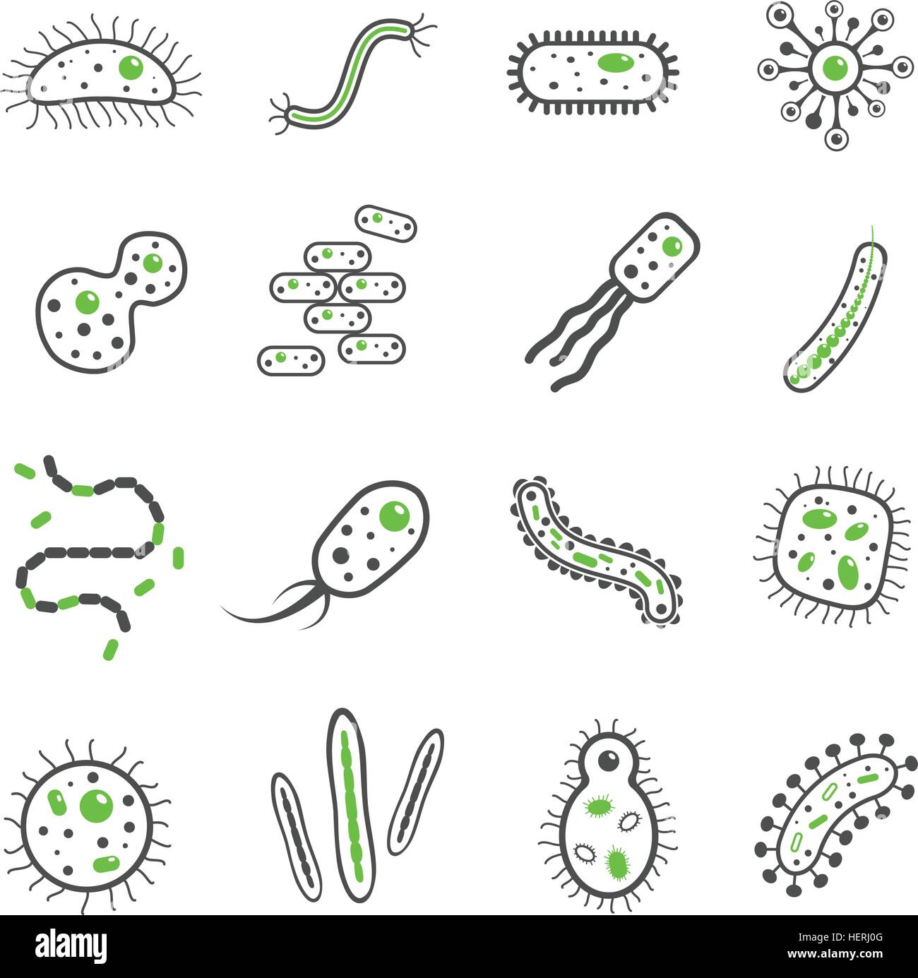 Bacteria black icons set. Bacteria and pathogen microbe black icons set ...