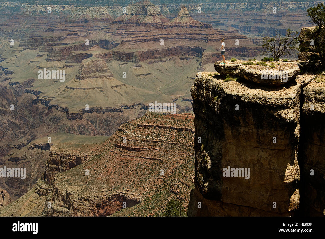 United States of America, USA, Arizona, AR, Grand Canyon, tourist