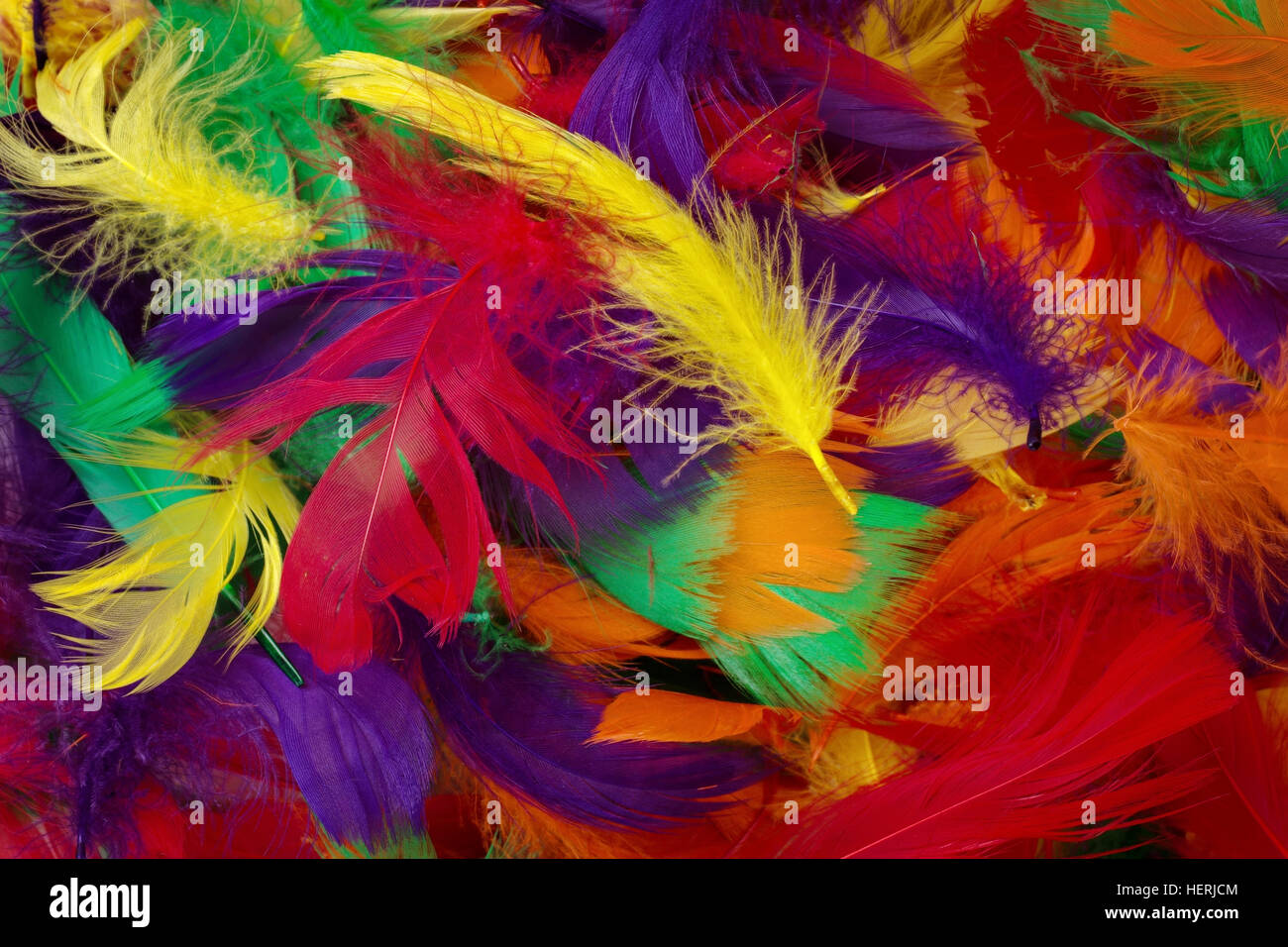 background of multi coloured feathers close up Stock Photo - Alamy