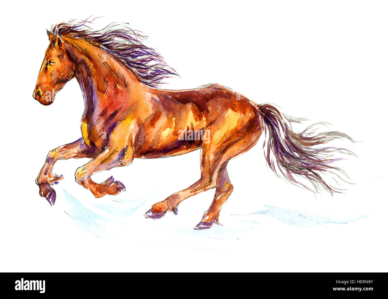 Fast Galloping Horse Stock Photo Alamy