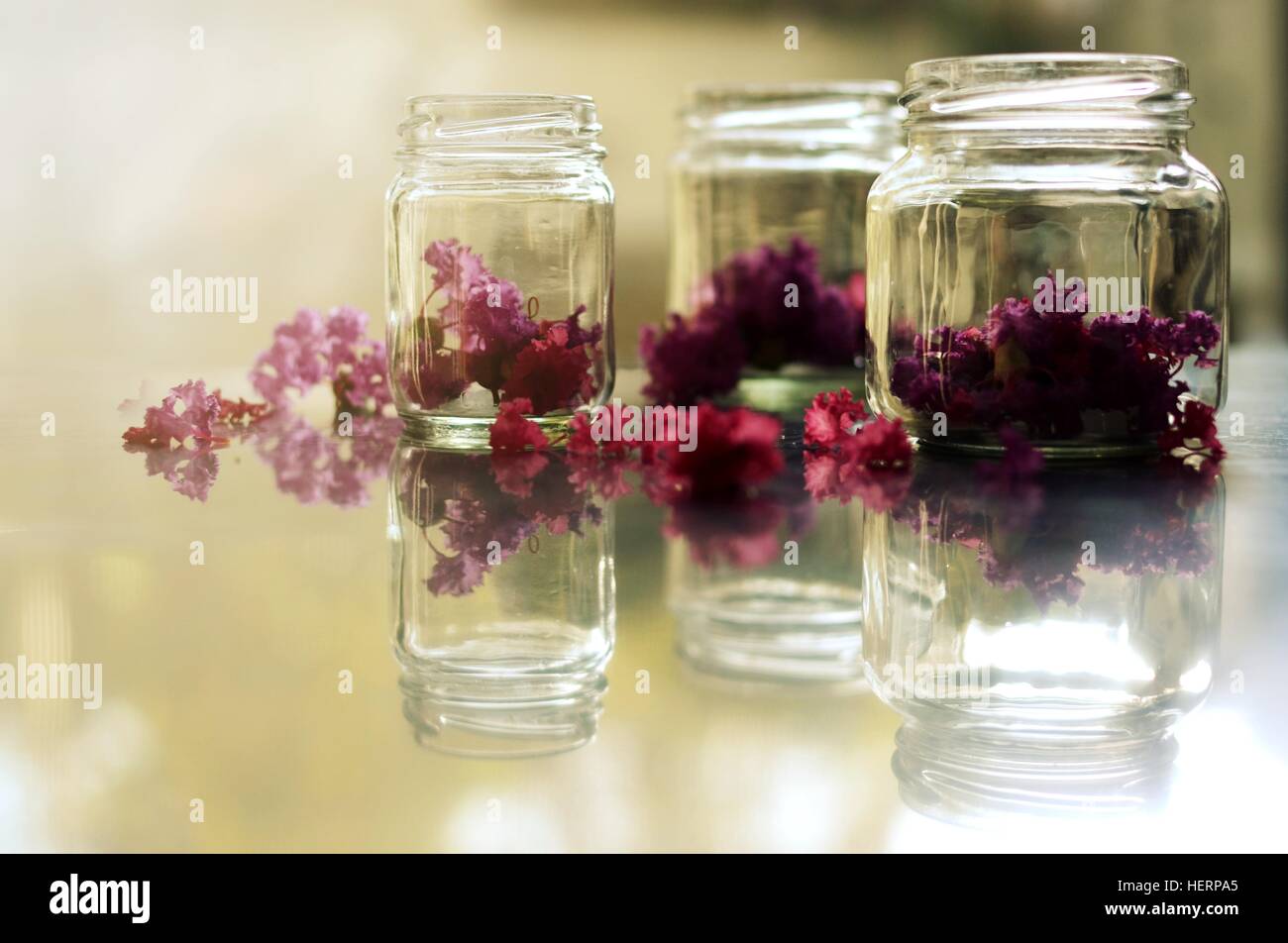 Flowers in glass jars Stock Photo