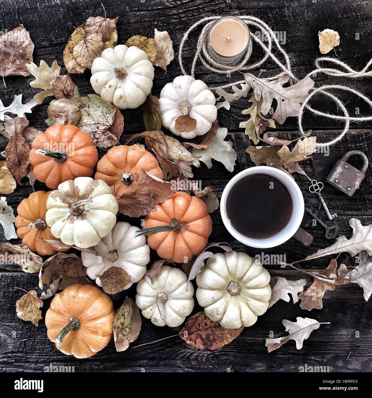 Mini pumpkins and autumn leaves Stock Photo - Alamy
