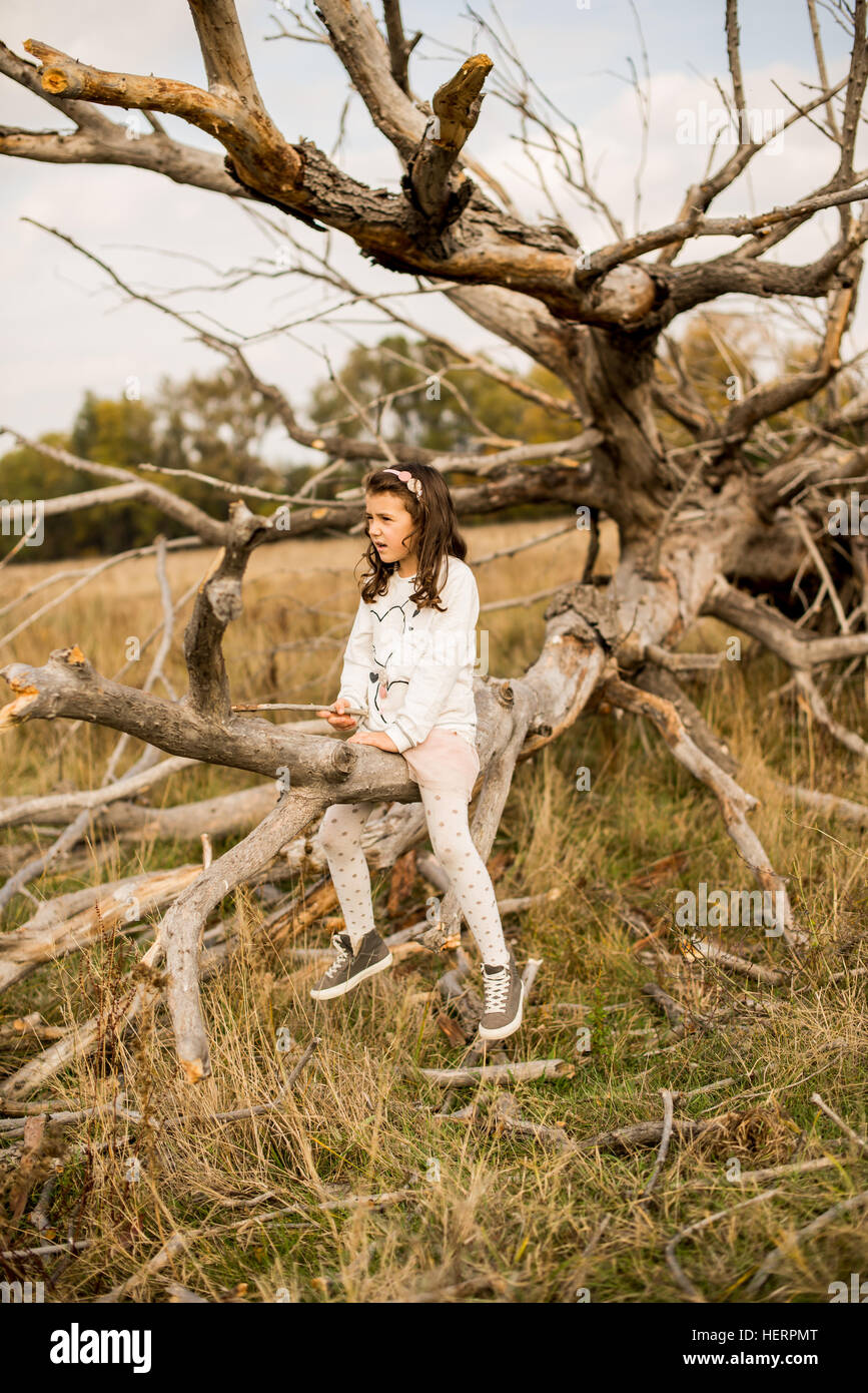 Girl sitting on a fallen tree trunk Stock Photo