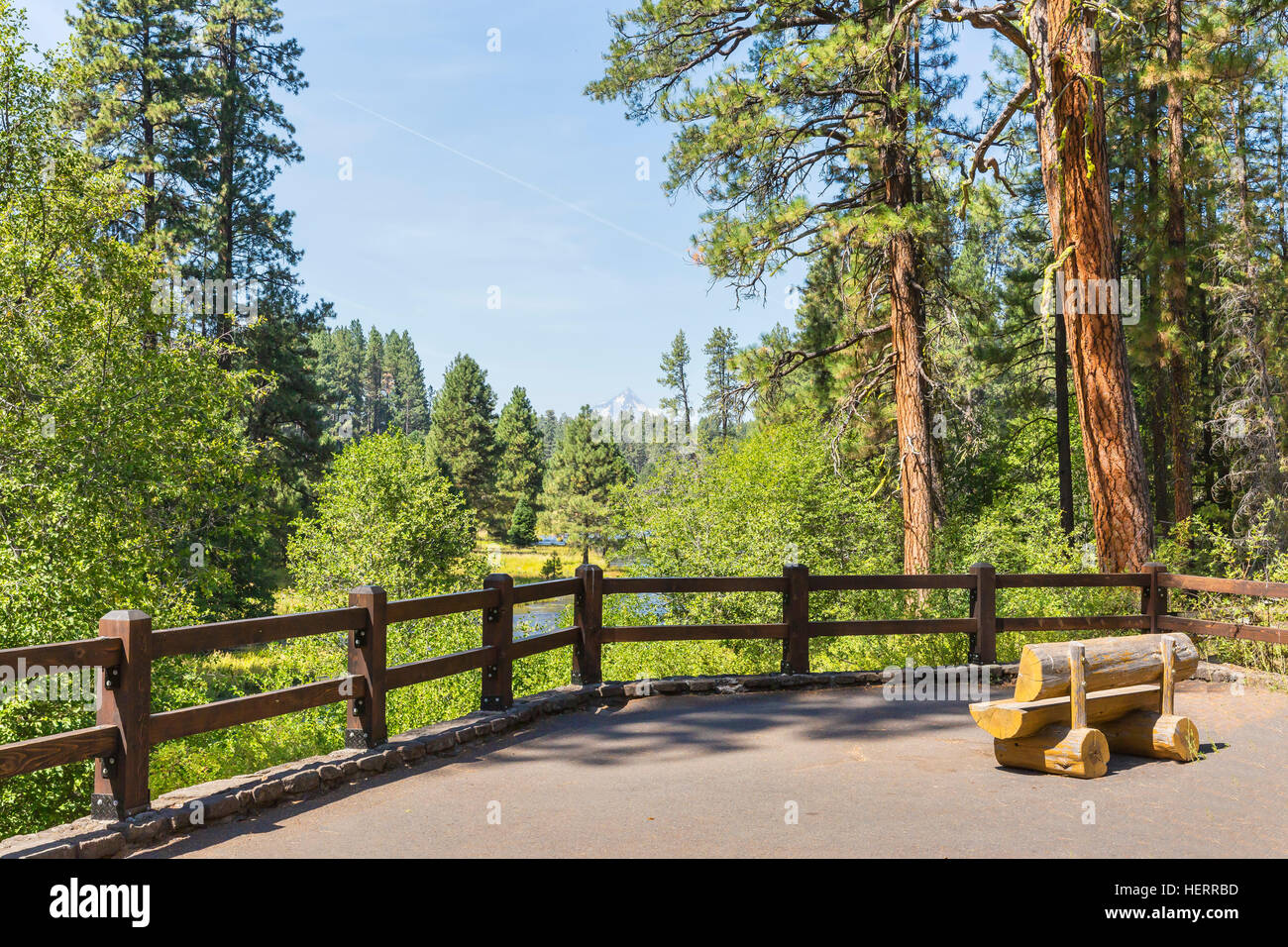 Viewpoint at the headwaters of the Metolius River. The Metolius River, a tributary of the Deschutes River in Oregon, is unique in bursting from the gr Stock Photo