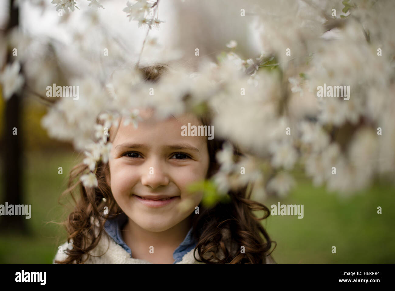 Portrait of a girl standing by apple blossom tree Stock Photo