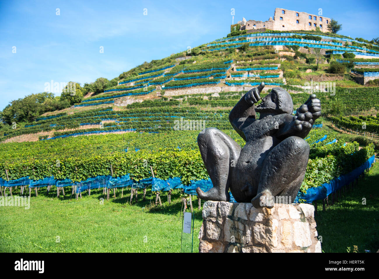 Statue of god Bacchus squatting in front of vineyard going up a hill topped with a ruined castle. Stock Photo
