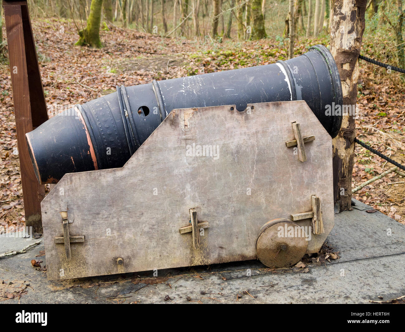 role-players pirate cannon in woods Stock Photo