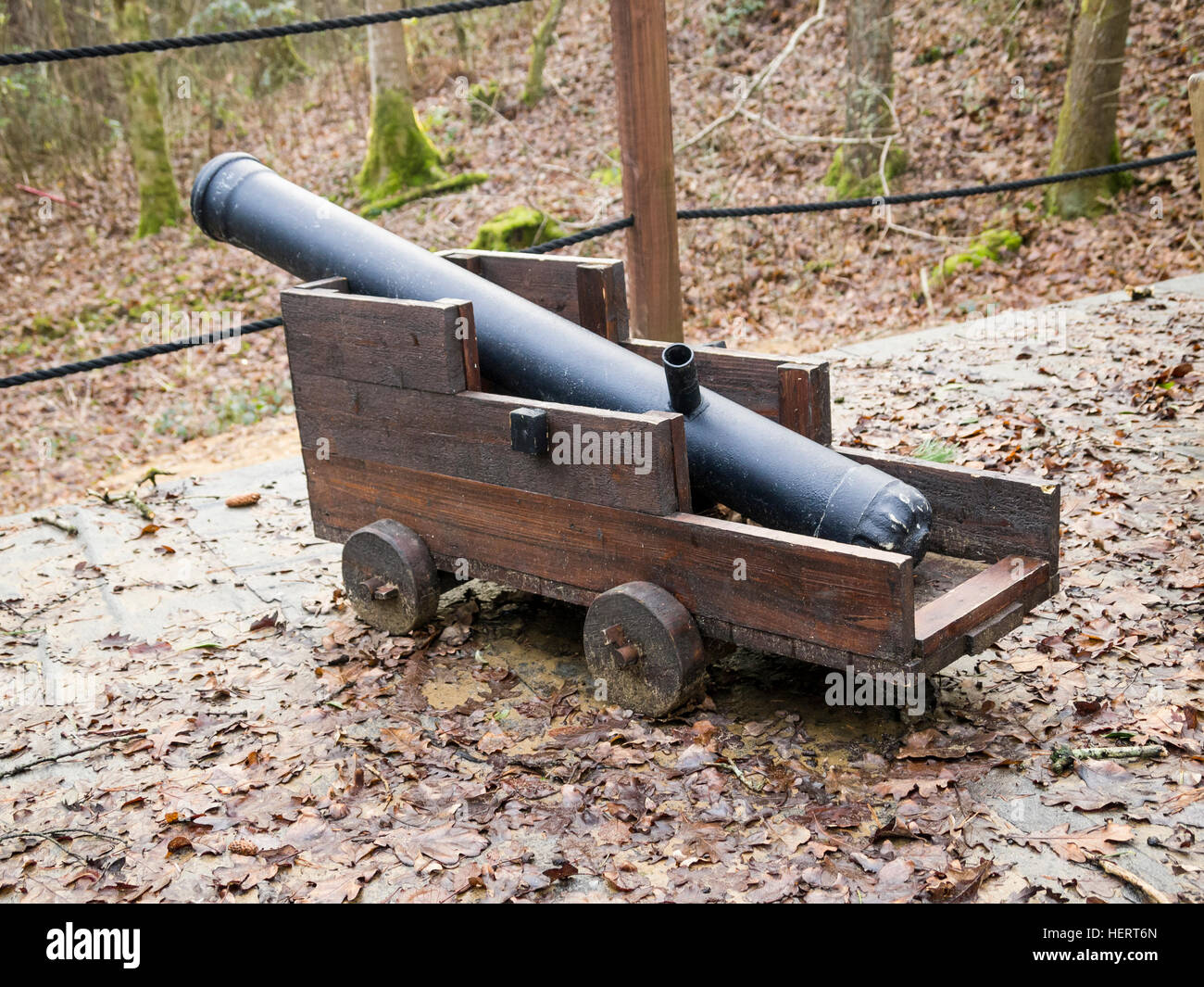 role-players pirate cannon in woods Stock Photo