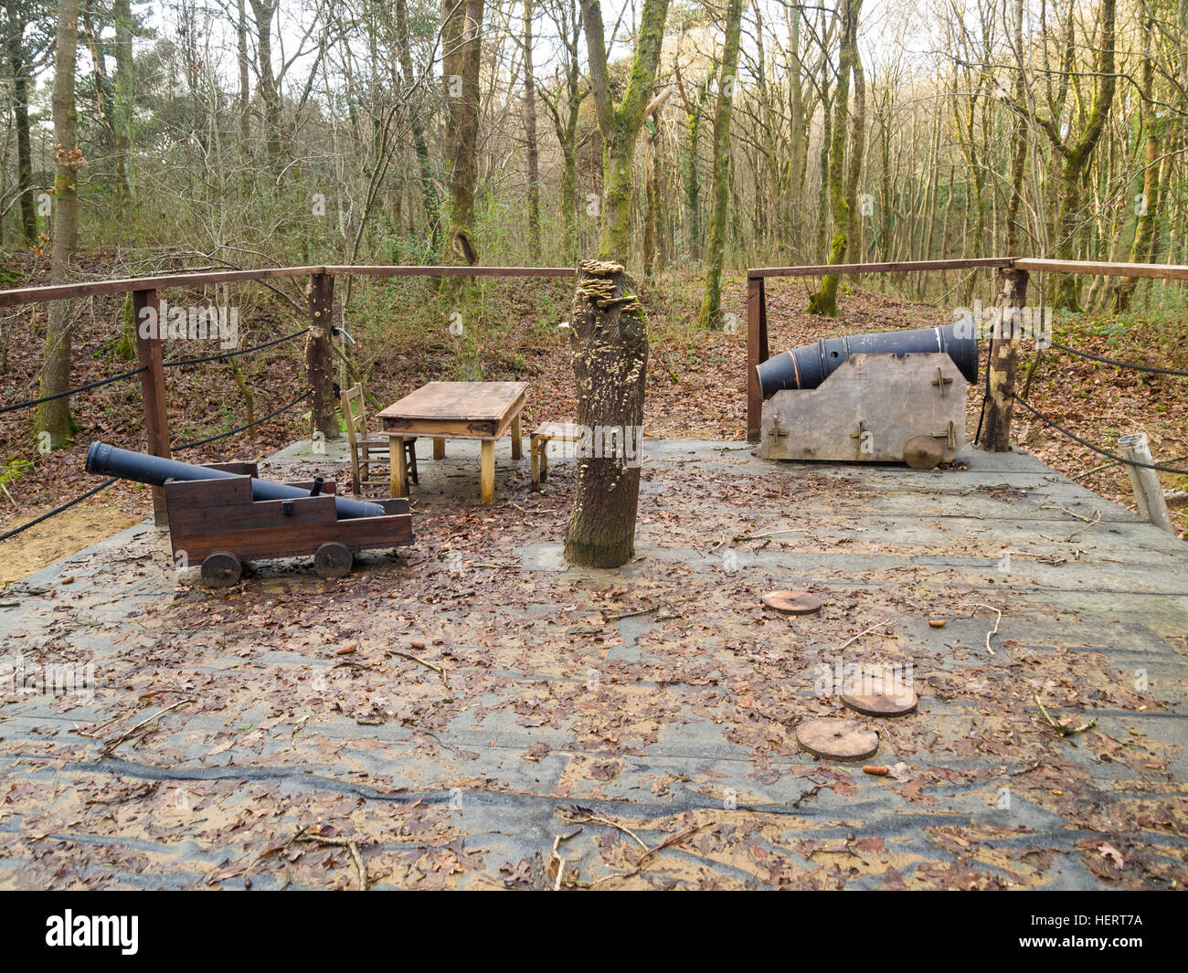 role-players pirate cannons in woods Stock Photo