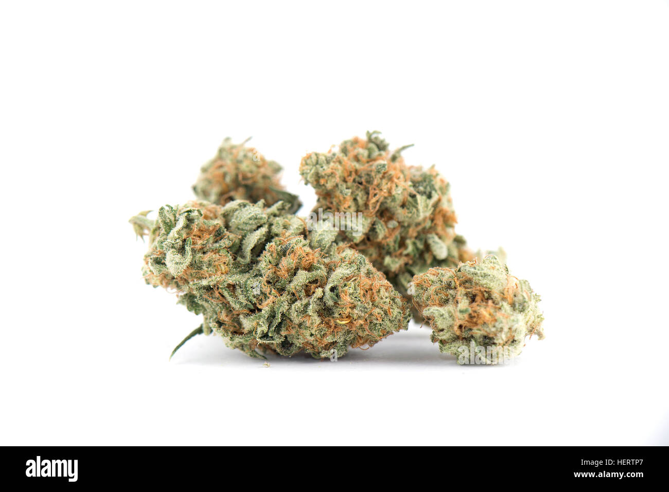 Detail of cannabis buds (mango puff strain) isolated on white - medical