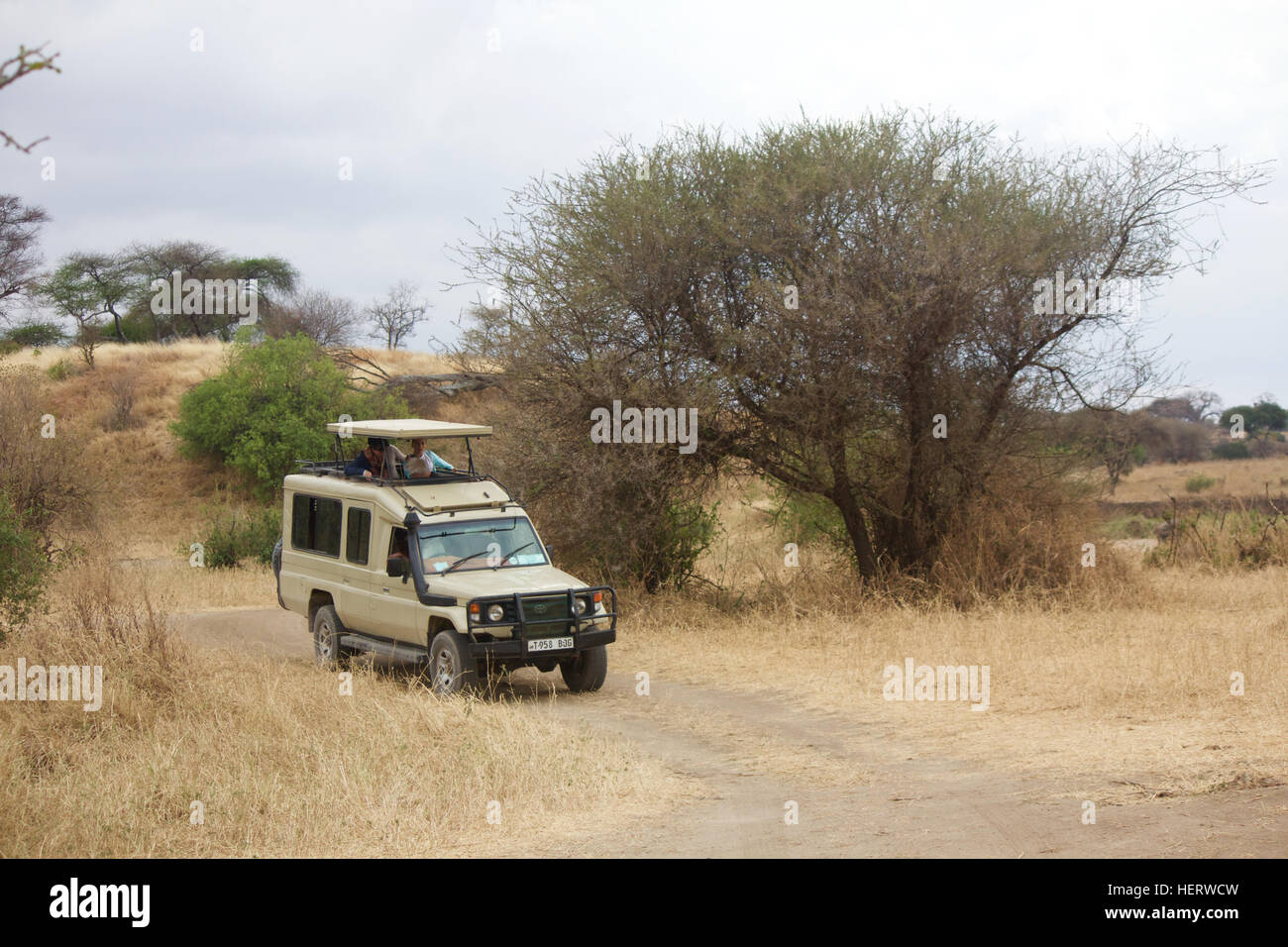 A Truck on Safari Stock Photo