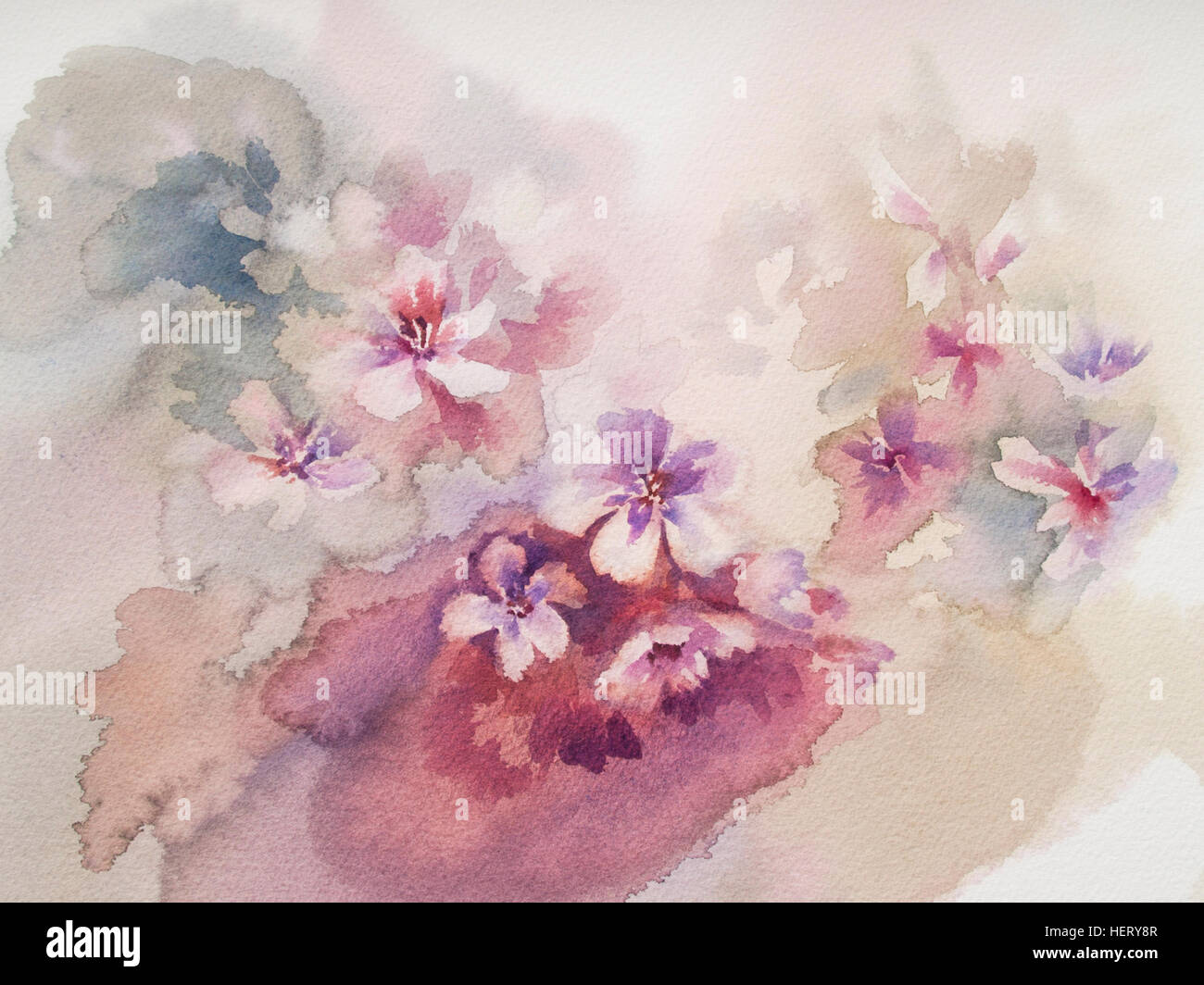 sakura flower sketch watercolor Stock Photo