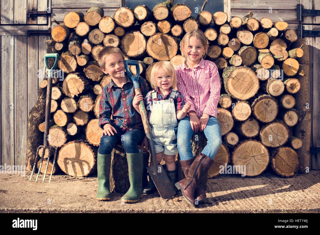 Firewood Fuelwood Lumber Timber Lumber Log Concept Stock Photo - Alamy