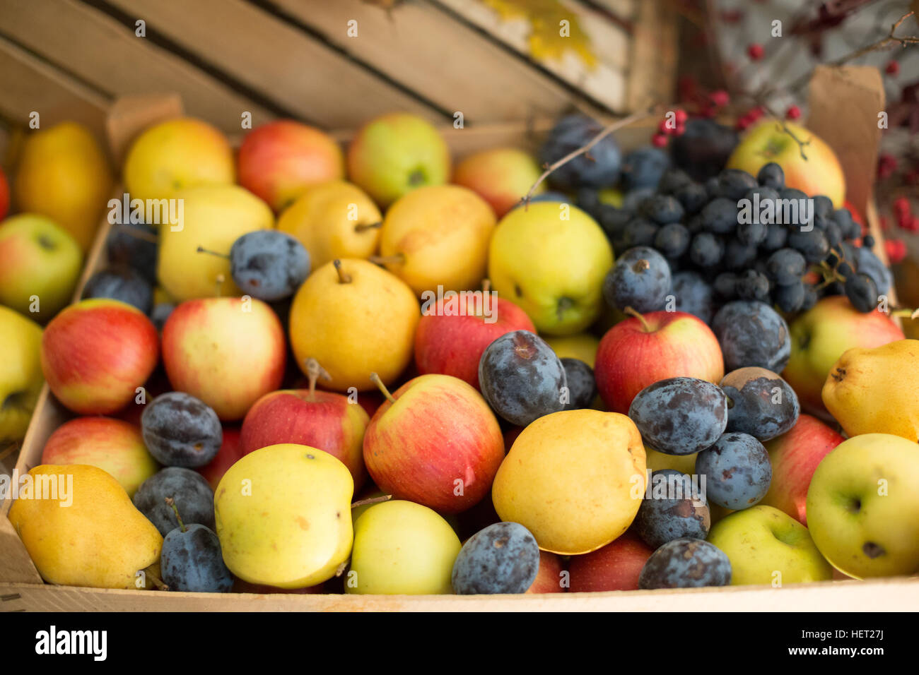 Mixed fruits background. Fresh fruits.Healthy eating, dieting. Stock Photo