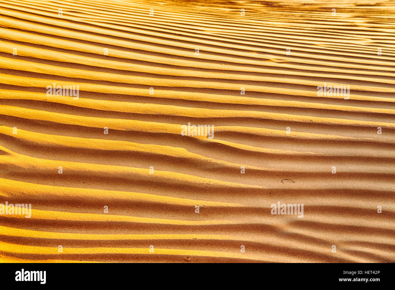 abstract texture line wave in oman the old desert and the empty quarter ...