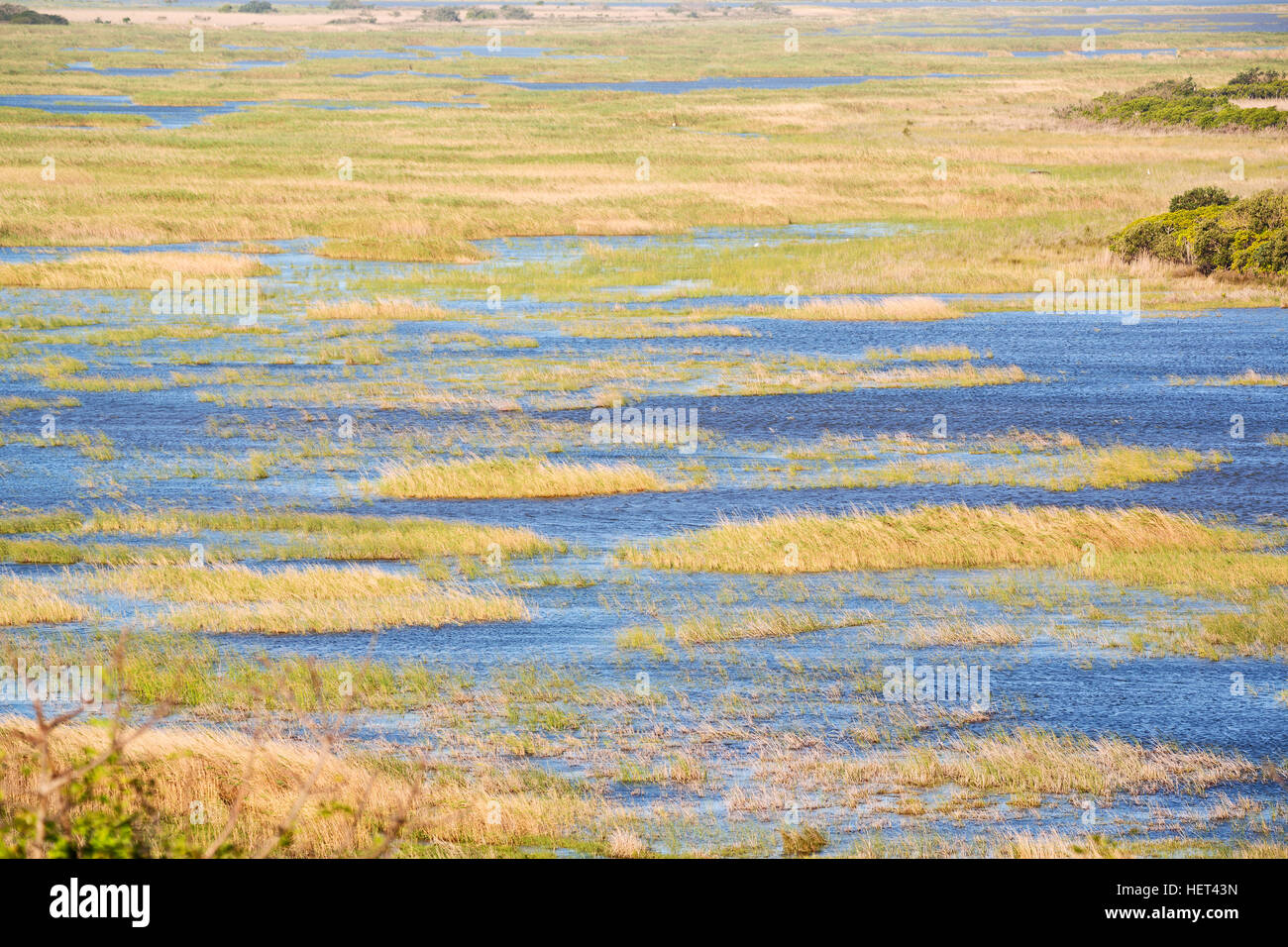 blur in south africa pond lake isimagaliso nature reserve and bush