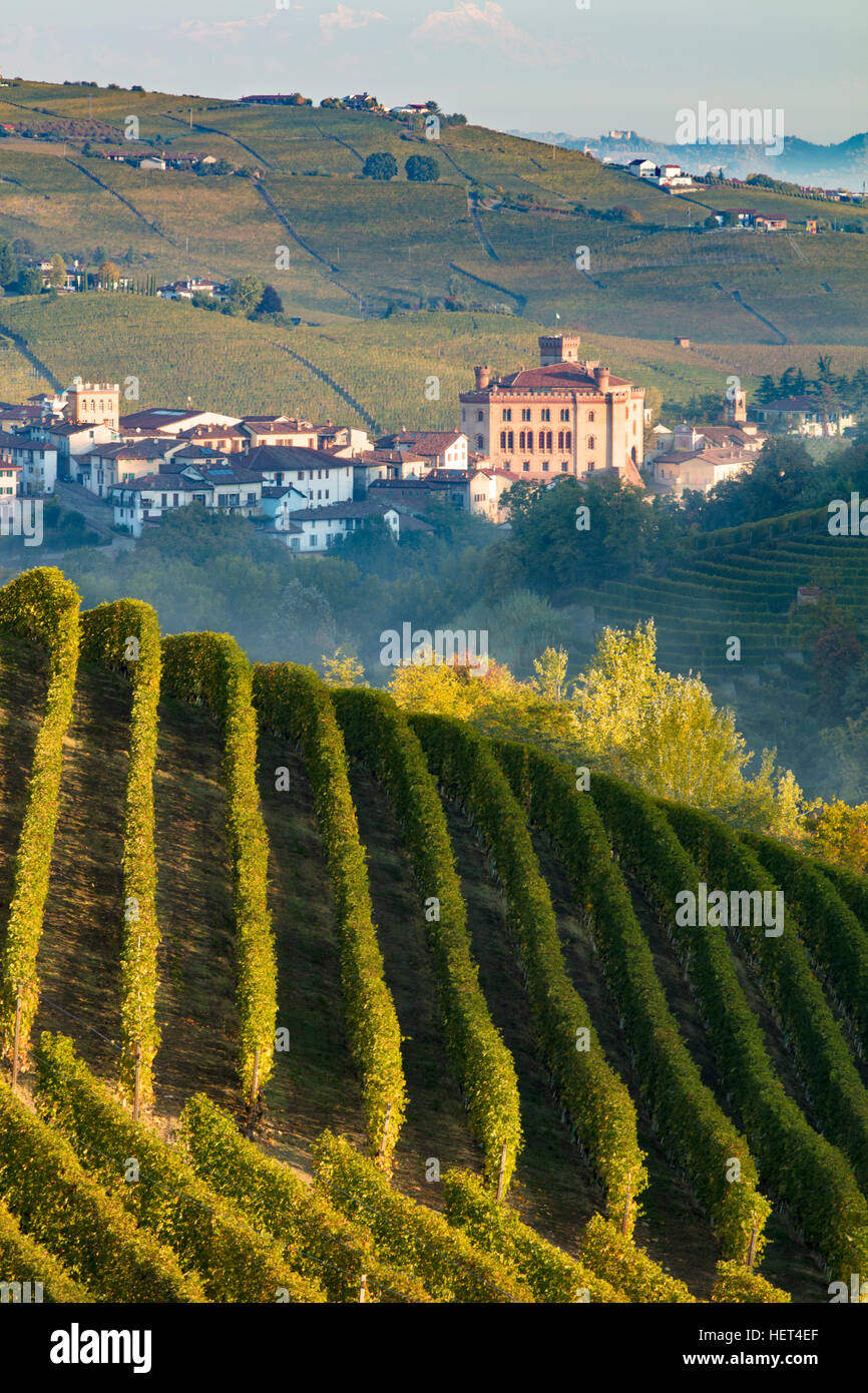 Dawn over Nebbiolo vineyards and town of Barolo, Piemonte, Italy Stock Photo