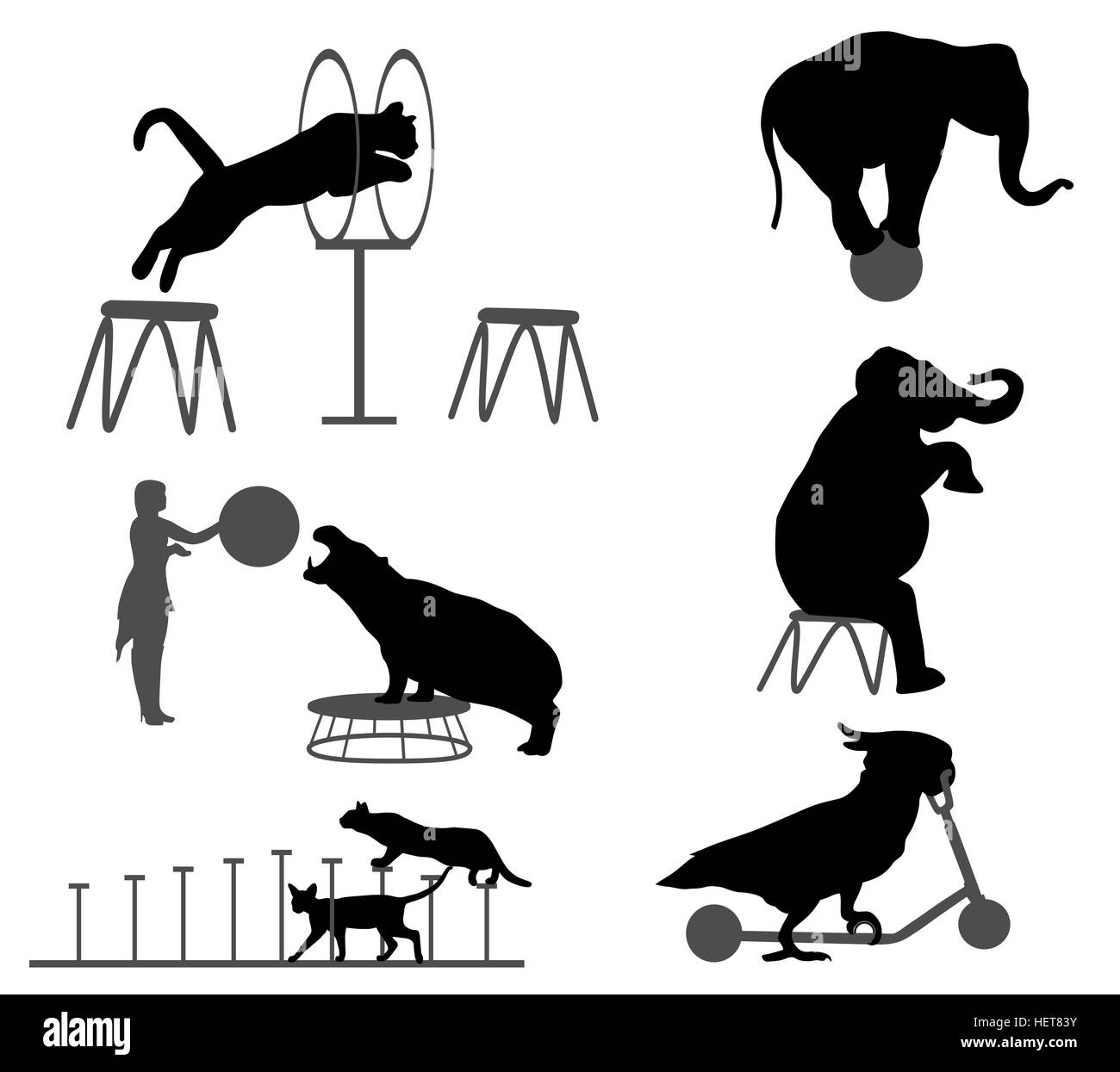 Collection of silhouettes of animals in circus show Stock Vector