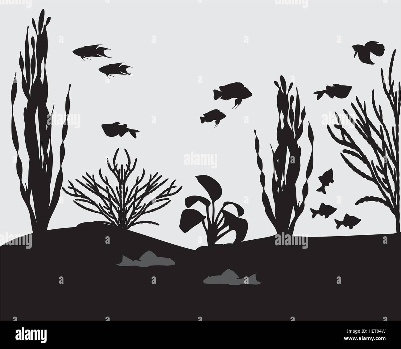 Silhouettes of fishes and algae in aquarium Stock Vector
