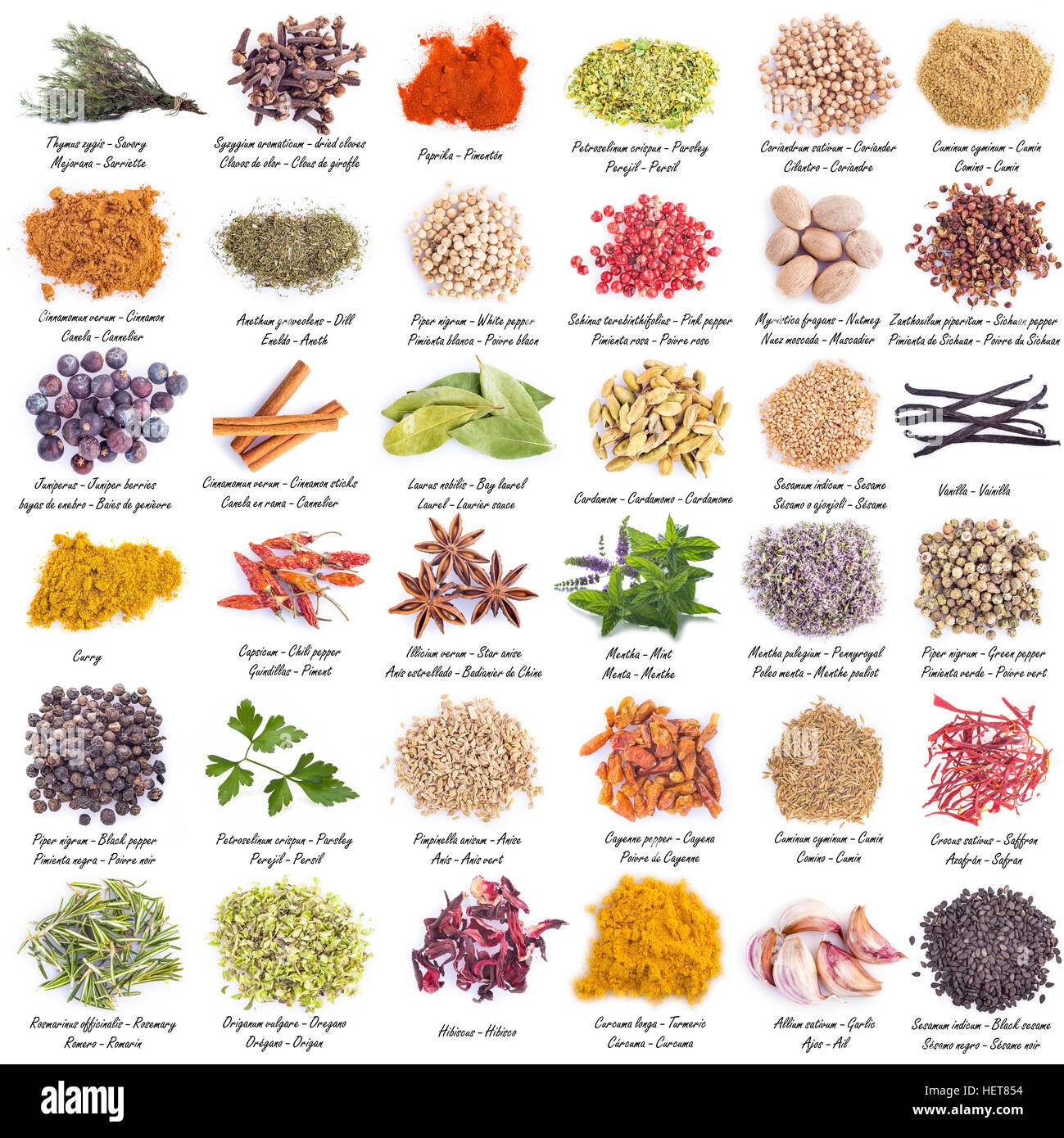 Spices set with a great assortment isolated on a white background and with their scientific names and their names in English, Spanish and French Stock Photo