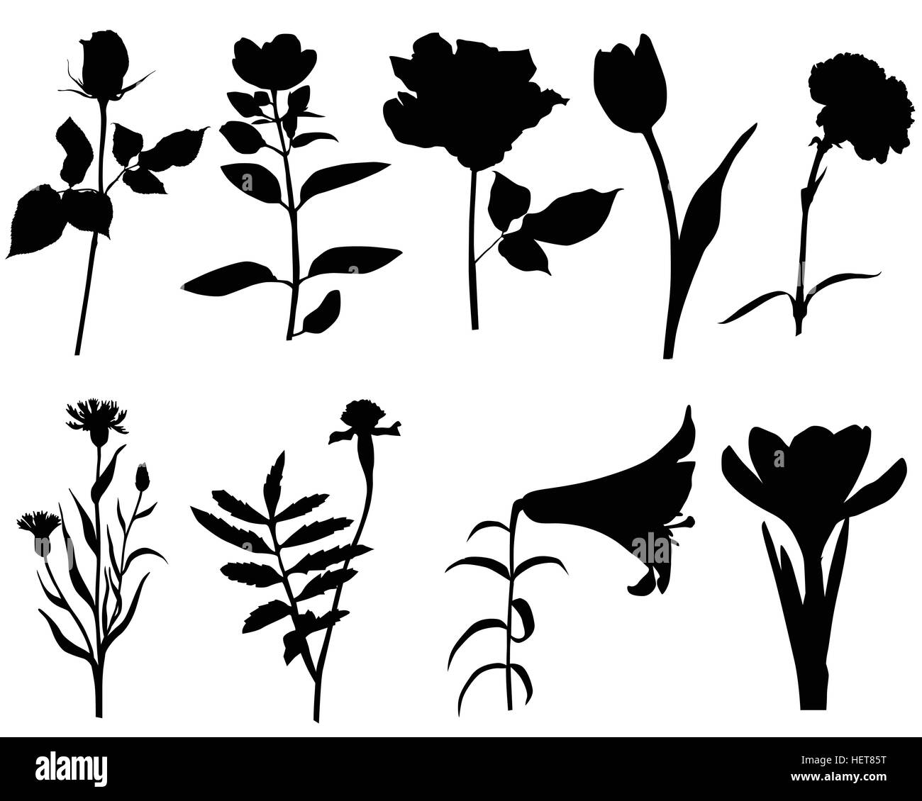 Collection of silhouettes of different species of flowers Stock Vector