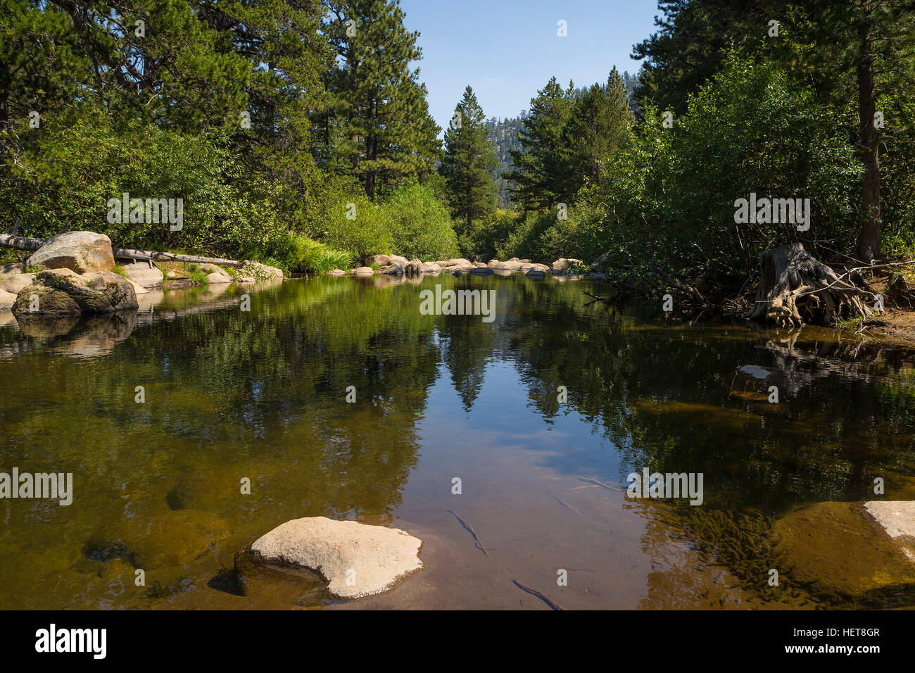 West Fork of the Carson River, California. Peaceful section of river in the forest. Stock Photo
