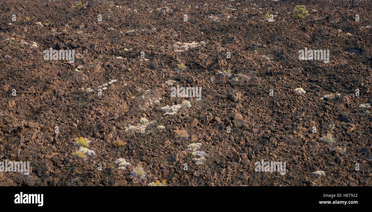 A field of Lava at Lava Beds National Park Stock Photo Alamy