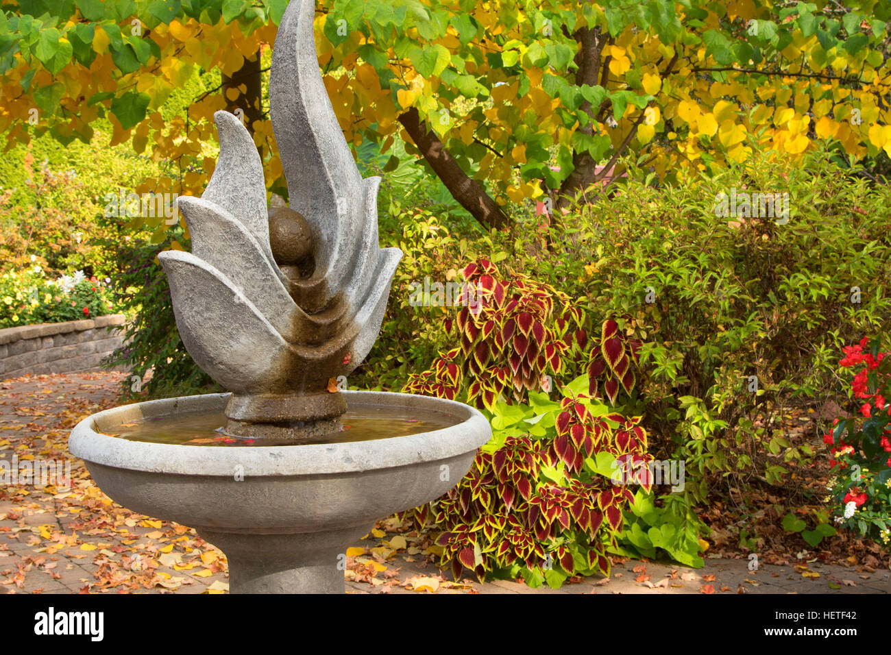 Sensory garden hires stock photography and images Alamy