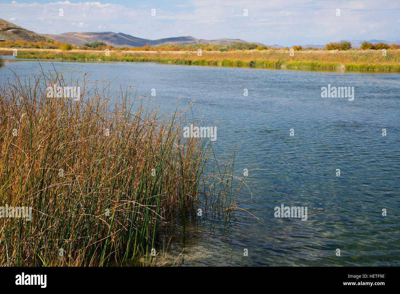 Silver Creek, Silver Creek Preserve, Idaho Stock Photo Alamy
