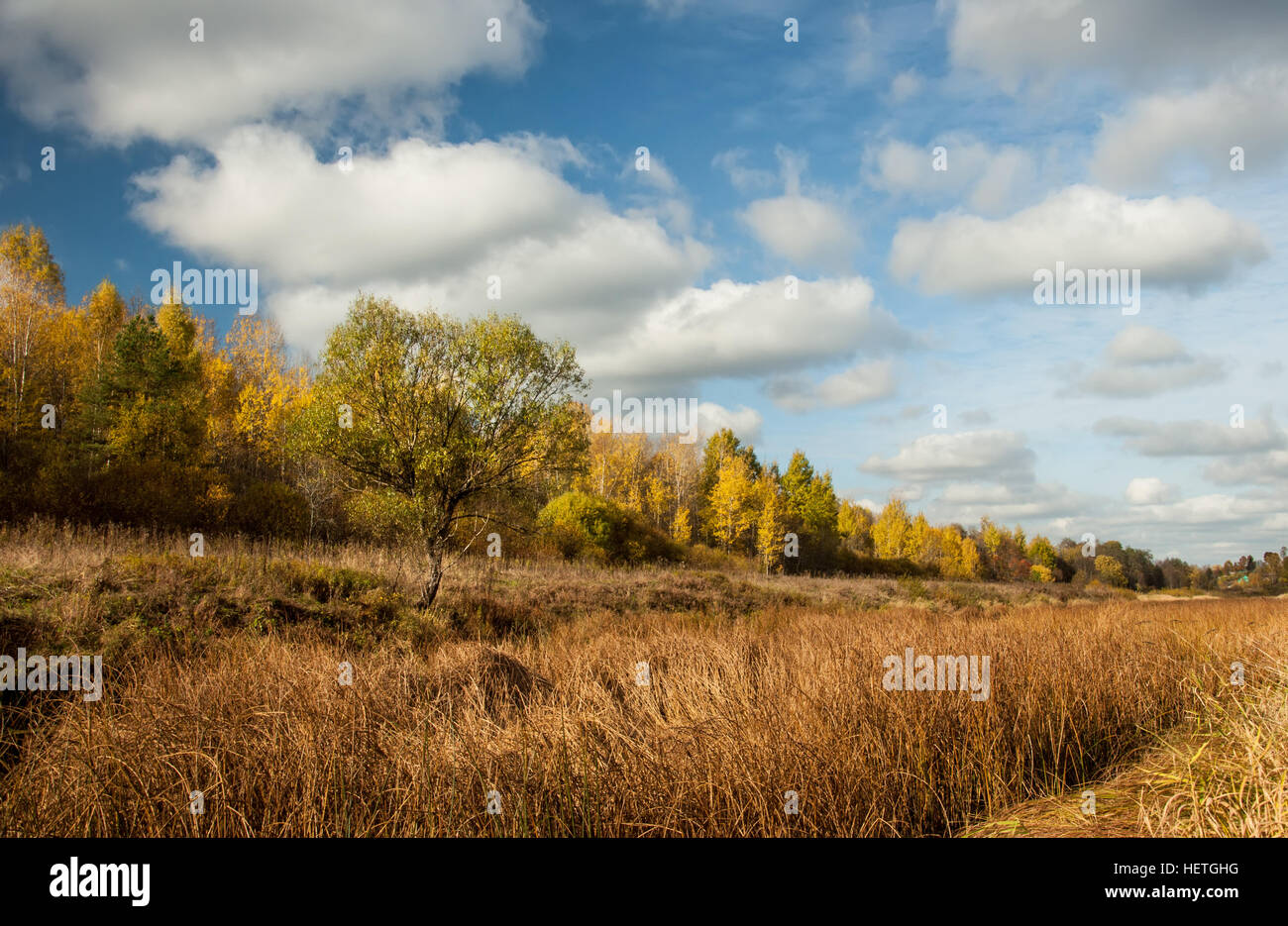 Bright colors of Golden autumn in the countryside Stock Photo - Alamy