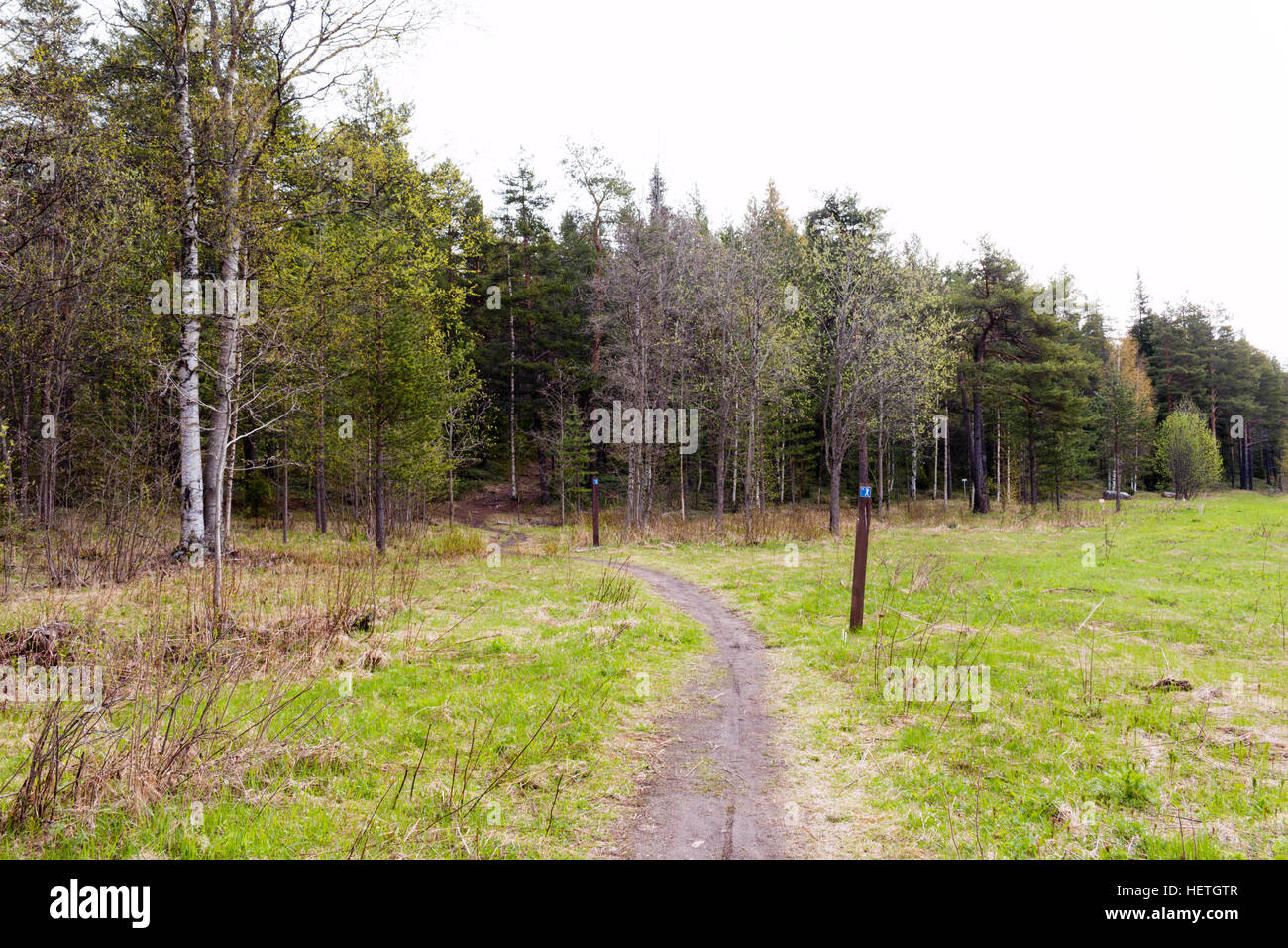 Forest Near Rovaniemi Beautiful forests in Rovaniemi, Lapland, Finland Stock Photo - Alamy