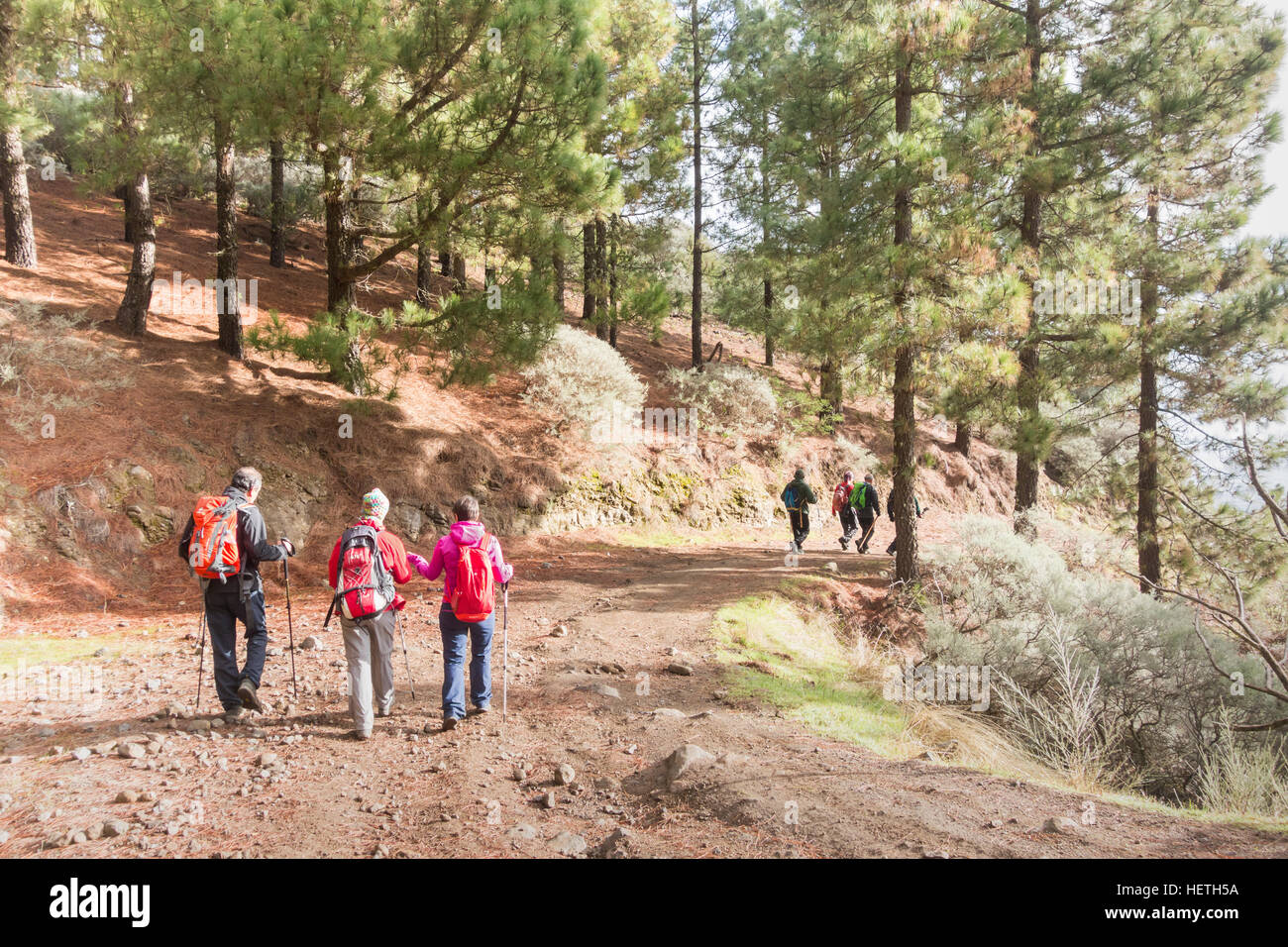 Group hikers in forest hi-res stock photography and images - Alamy