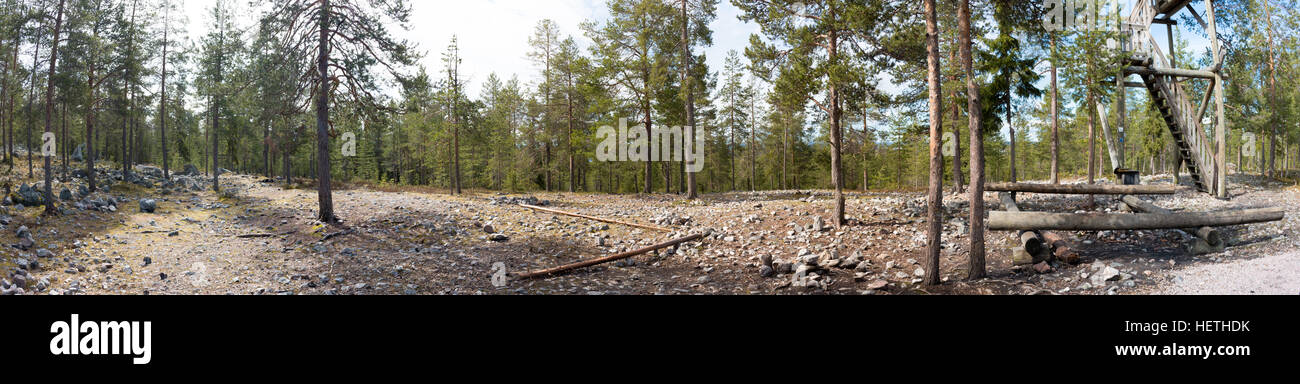 Forest Near Rovaniemi Beautiful forests in Rovaniemi, Lapland, Finland Stock Photo - Alamy