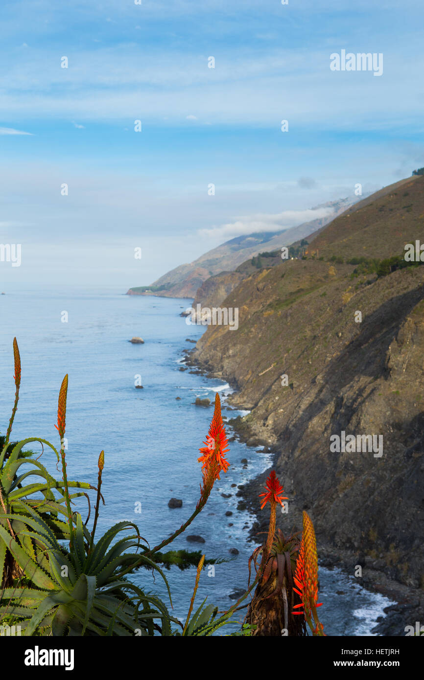 Big Sur coastline in central California USA Stock Photo - Alamy