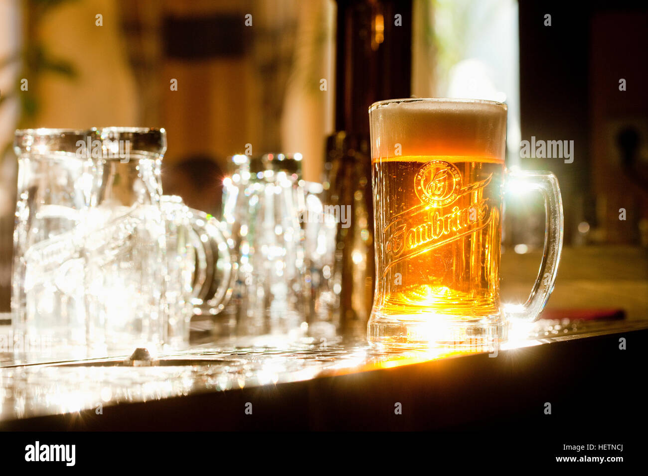 Glass of Famous Czech Beer in a Prague Pub Stock Photo Alamy