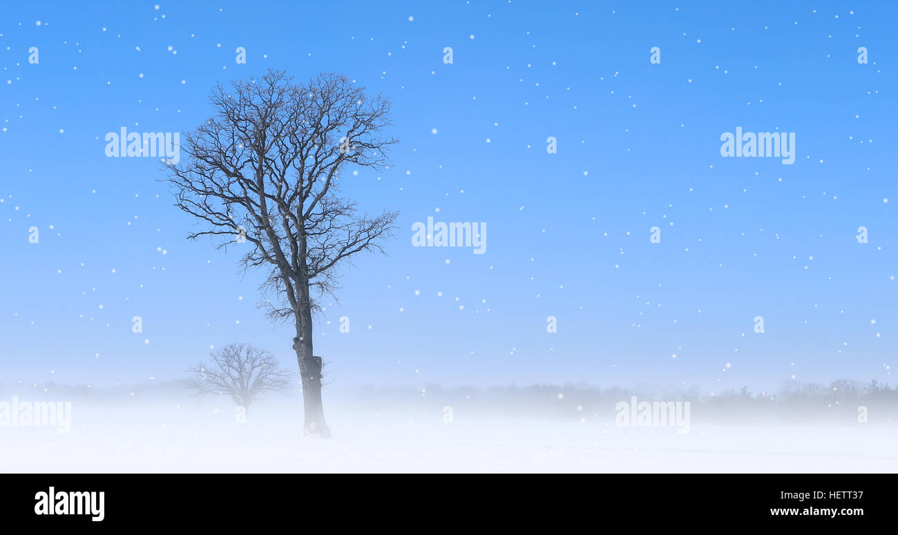A Solitary tree in a snowy landscape Stock Photo - Alamy