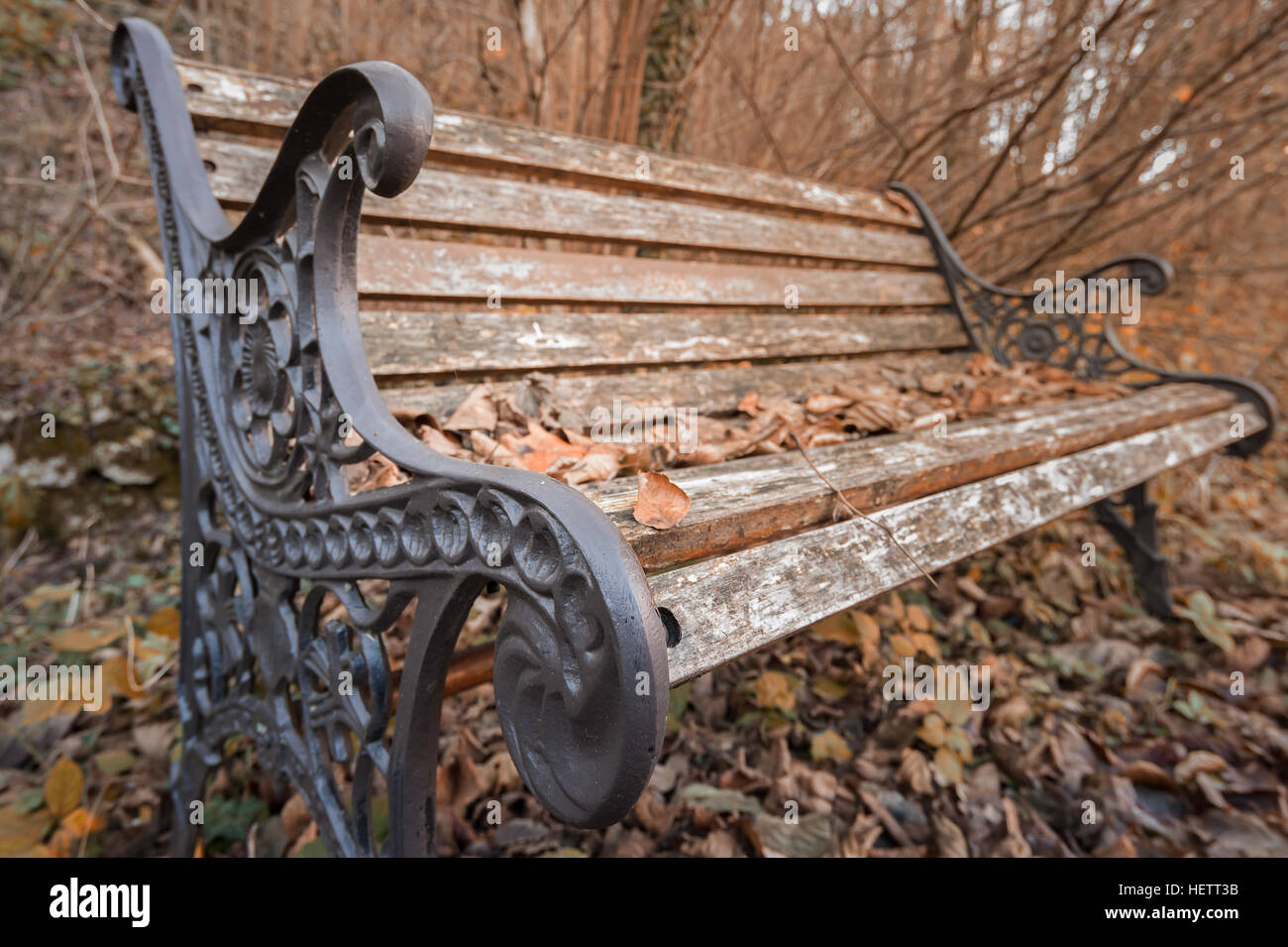 Bench in the Park in autumn season Stock Photo