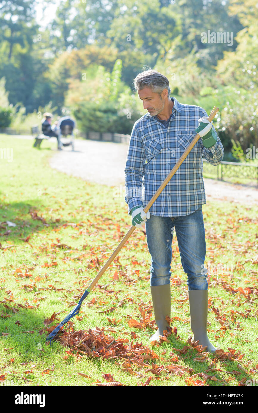 cleaning the park Stock Photo Alamy