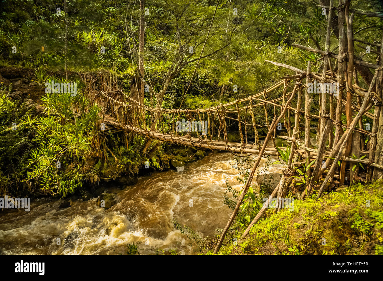 Photo of simple wooden bridge over floating river in rich greenery of Dani circuit near Wamena, Papua, Indonesia. Stock Photo