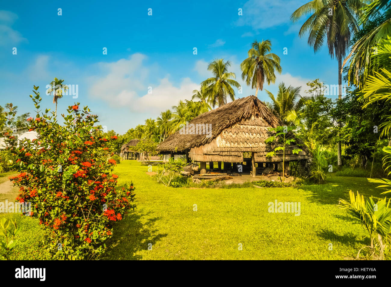 House made of straw and wood surrounded by palms and flowers during sunny weather in Avatip, Sepik river in Papua New Guinea. Stock Photo