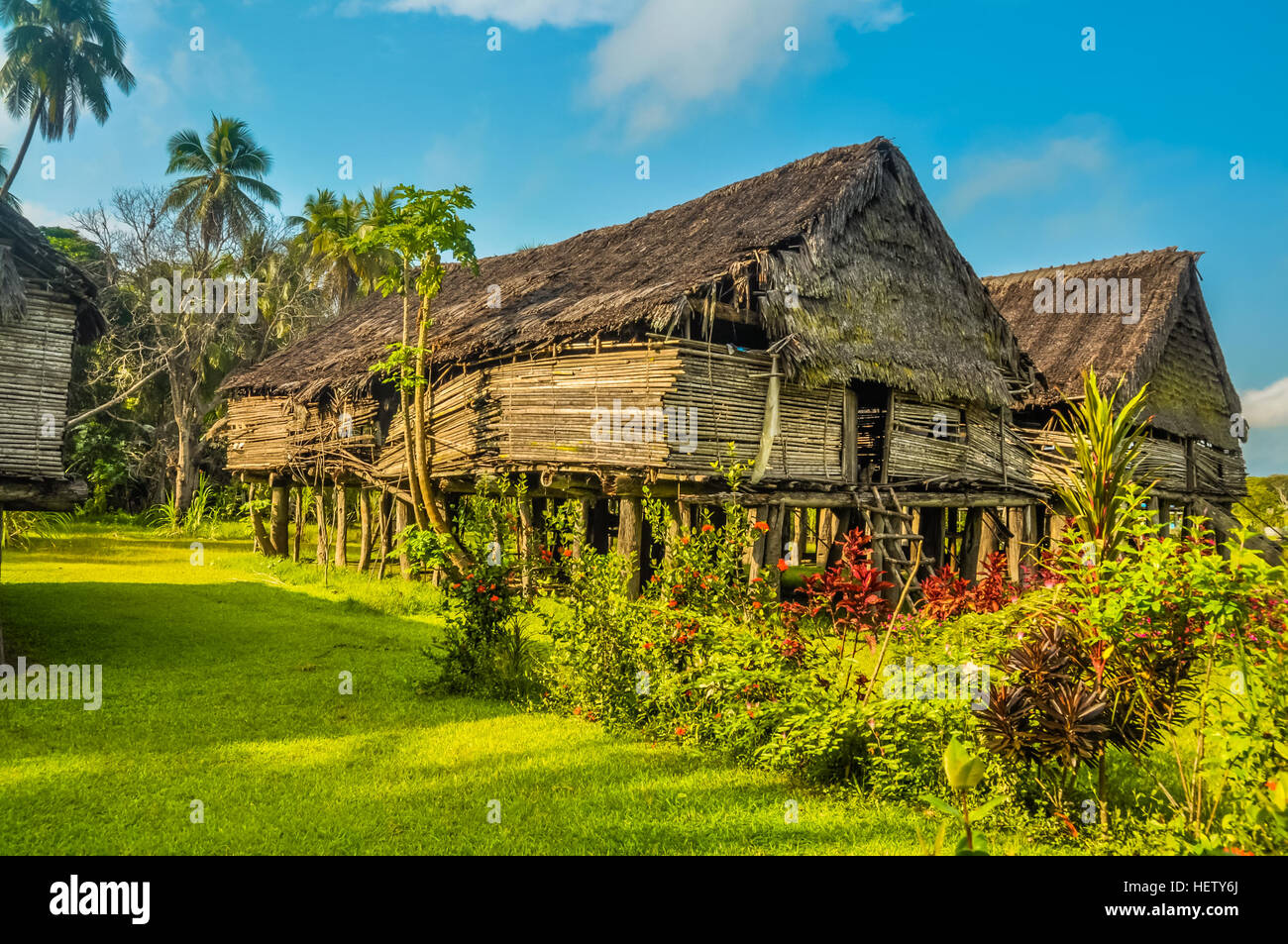 Photo of large house made of straw surrounded by greenery in Avatip, Sepik river in Papua New Guinea. In this region, one can only meet people from is Stock Photo