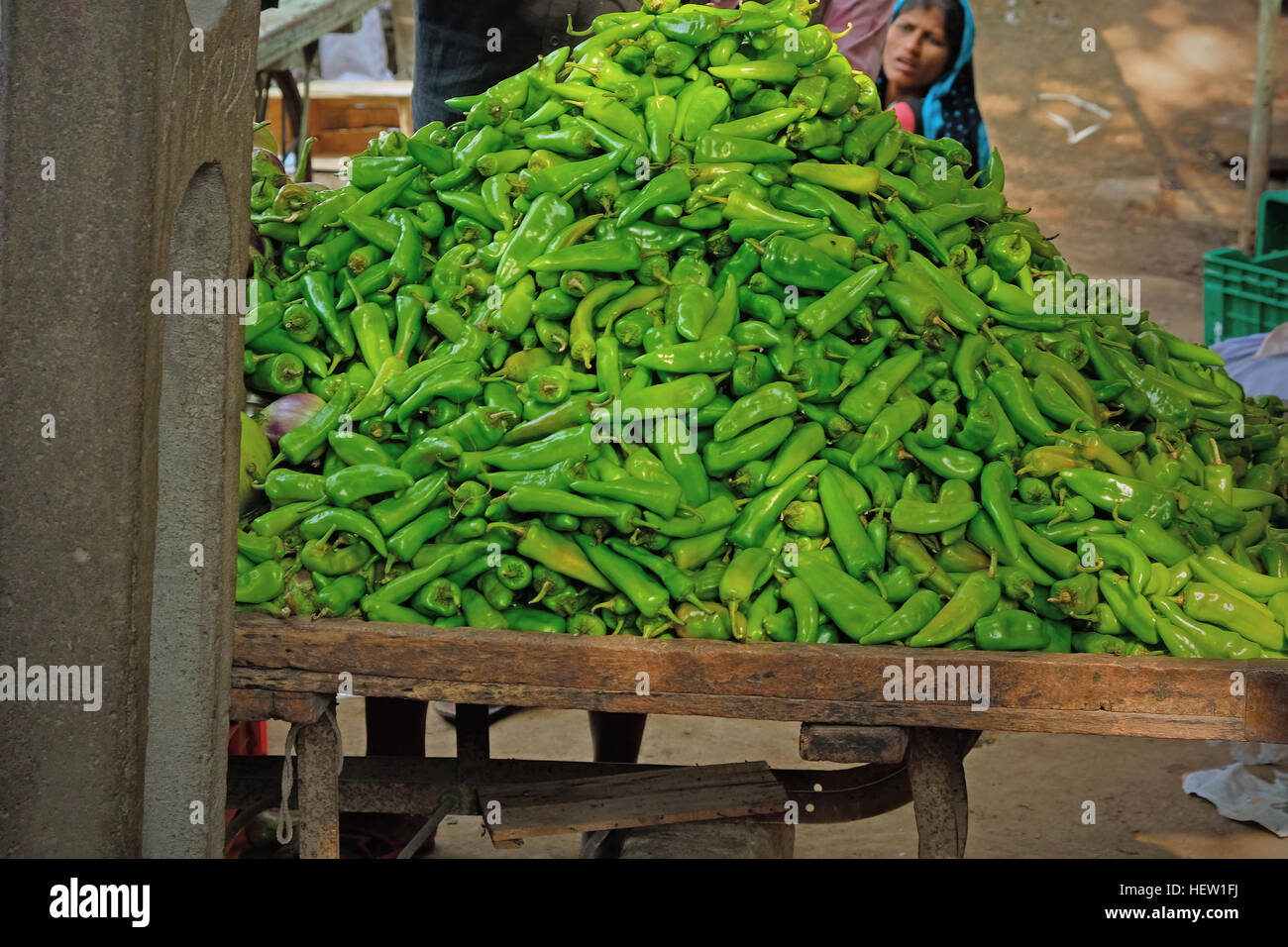 Green chili peppers for sale in a Gujarati street market. They are used in India as one of the main ingredients in curries Stock Photo