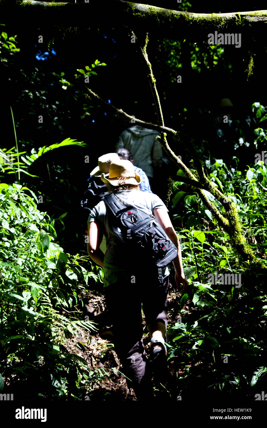 Eco Adventures in Costa Rica Stock Photo
