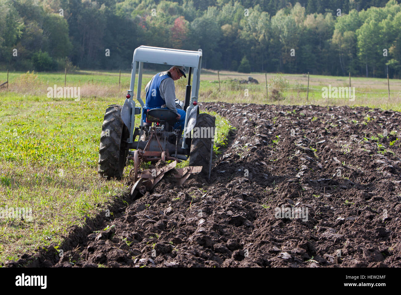 Farmer plowing with a tractor Stock Photo Alamy