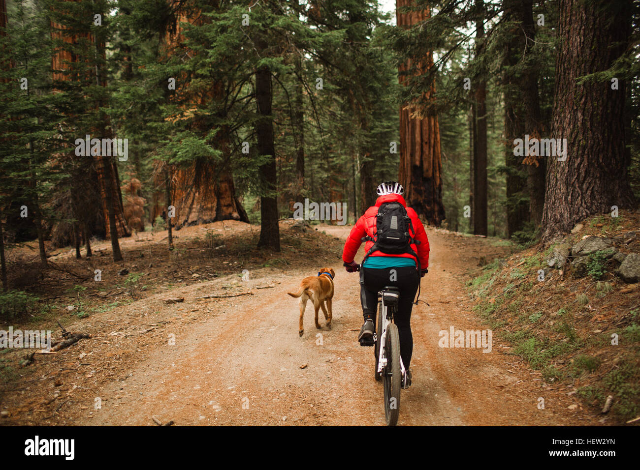 sequoia national park mountain biking